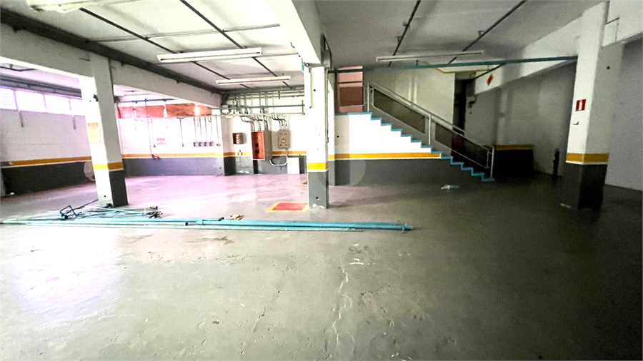Foto REO1130856