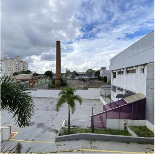 Foto REO1130856