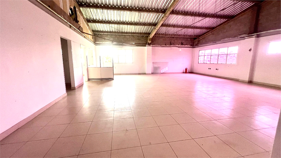 Foto REO1130856
