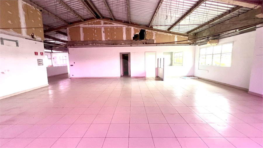 Foto REO1130856
