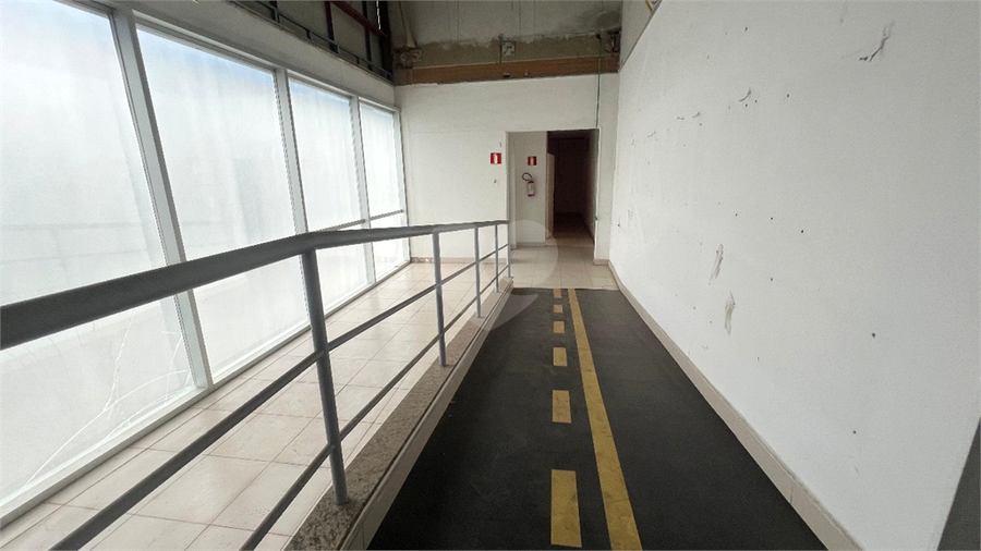 Foto REO1130856