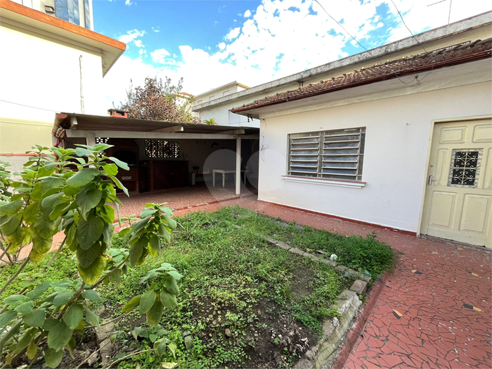 Foto REO1130861