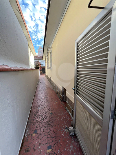 Foto REO1130861