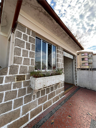 Foto REO1130861