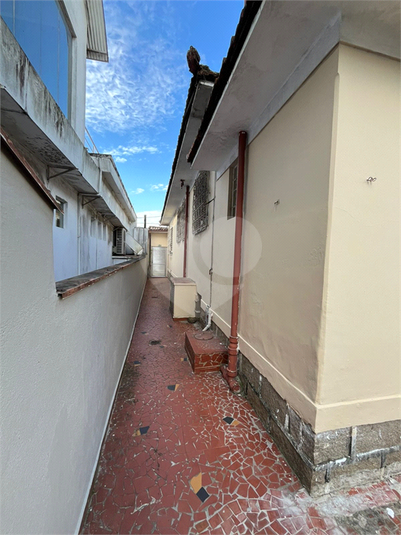 Foto REO1130861