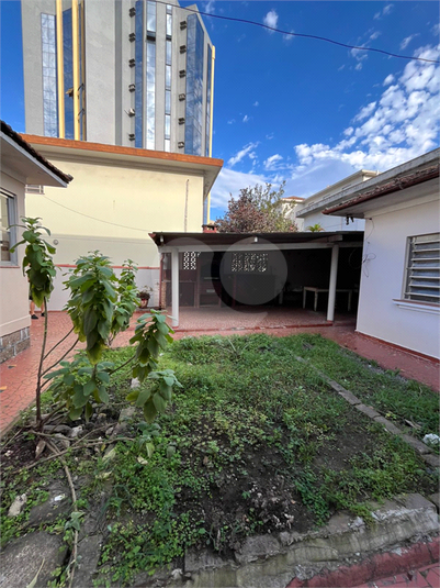 Foto REO1130861