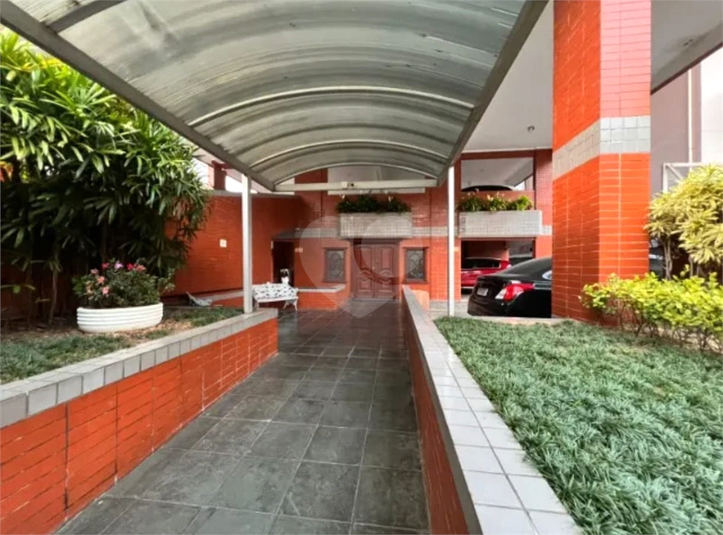Foto REO1130863