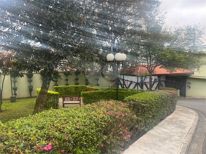 Foto REO1130870