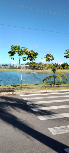 Foto REO1130873