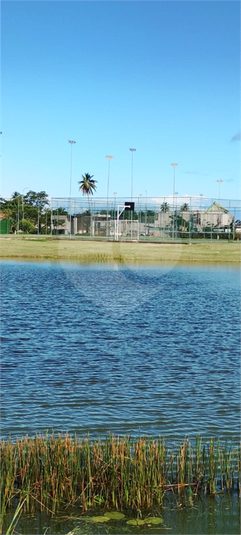 Foto REO1130873