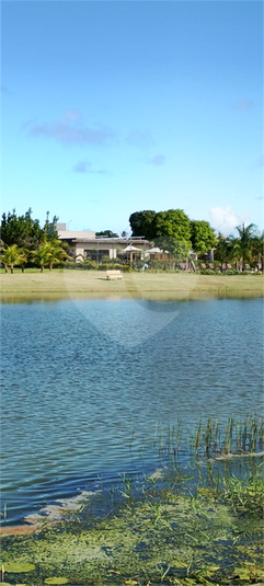 Foto REO1130873