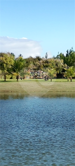 Foto REO1130873