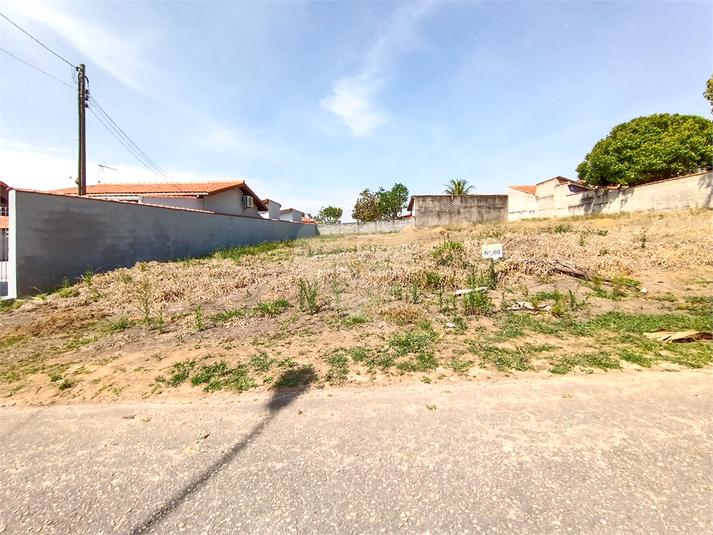 Foto REO1130875