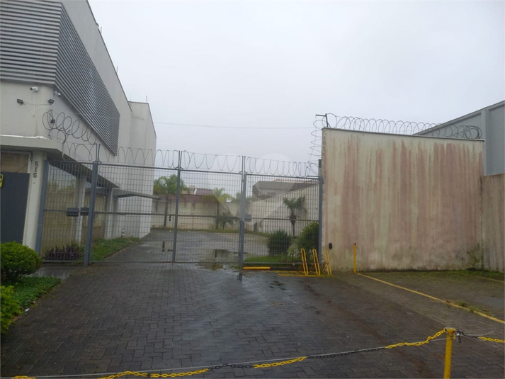 Foto REO1130878