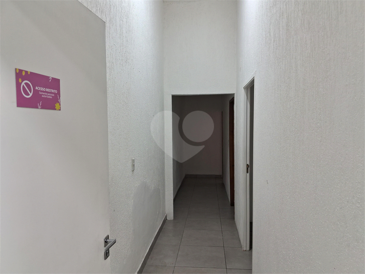 Foto REO1130881