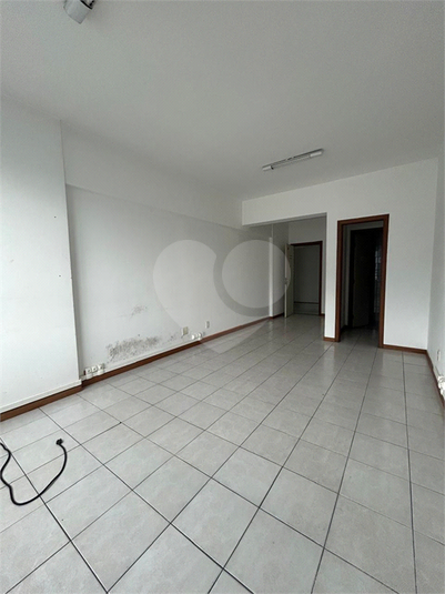Foto REO1130888