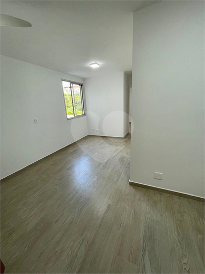 Foto REO1130894