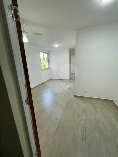 Foto REO1130894