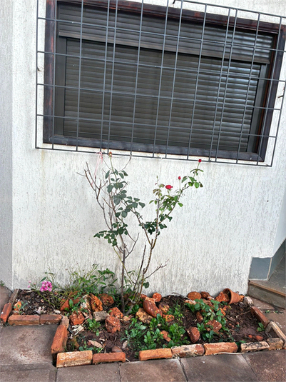 Foto REO1130911