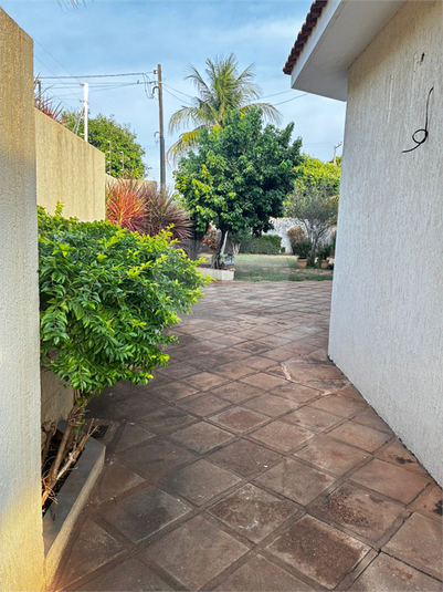 Foto REO1130911