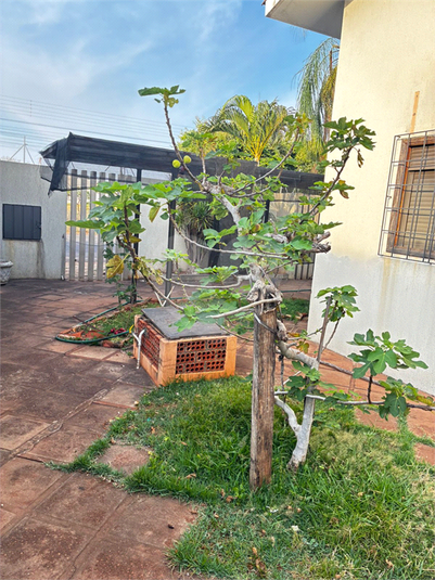 Foto REO1130911