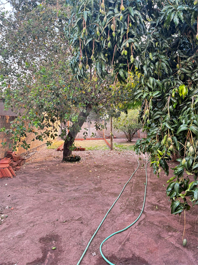 Foto REO1130911