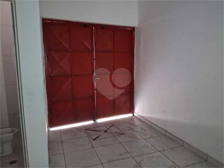 Foto REO1130927