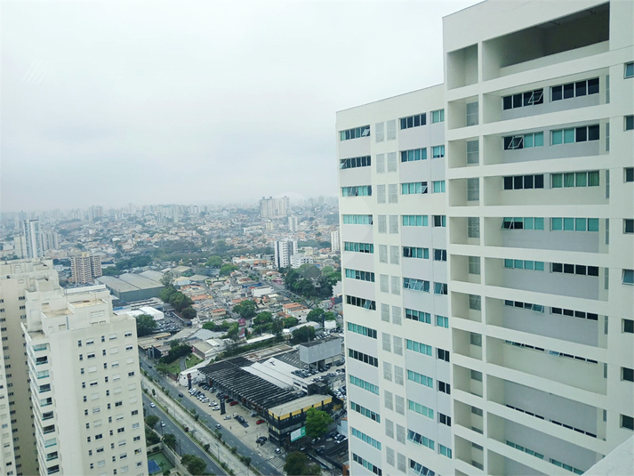 Foto REO1130928