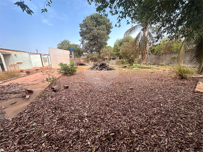 Foto REO1130966