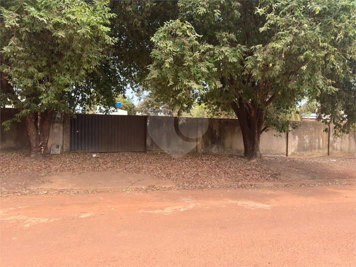 Foto REO1130966