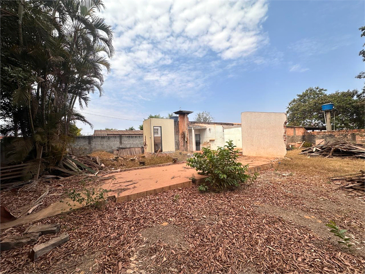 Foto REO1130966