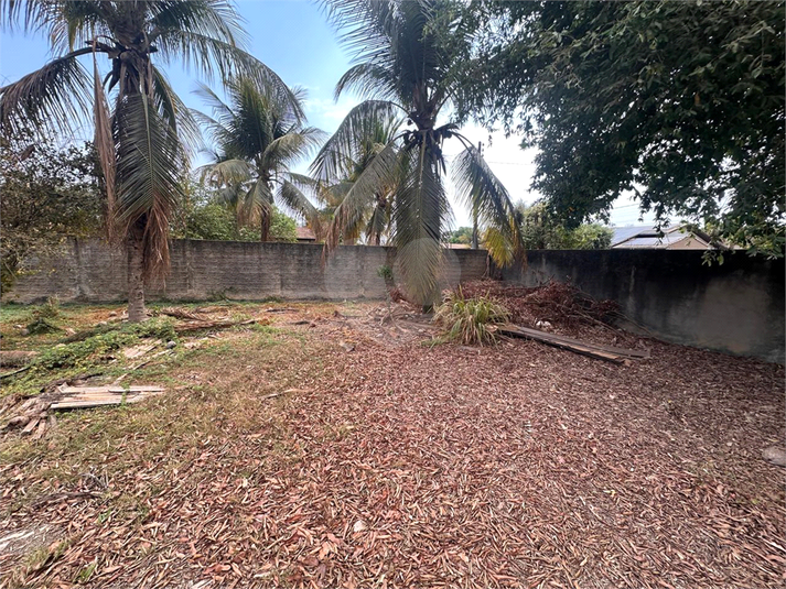 Foto REO1130966