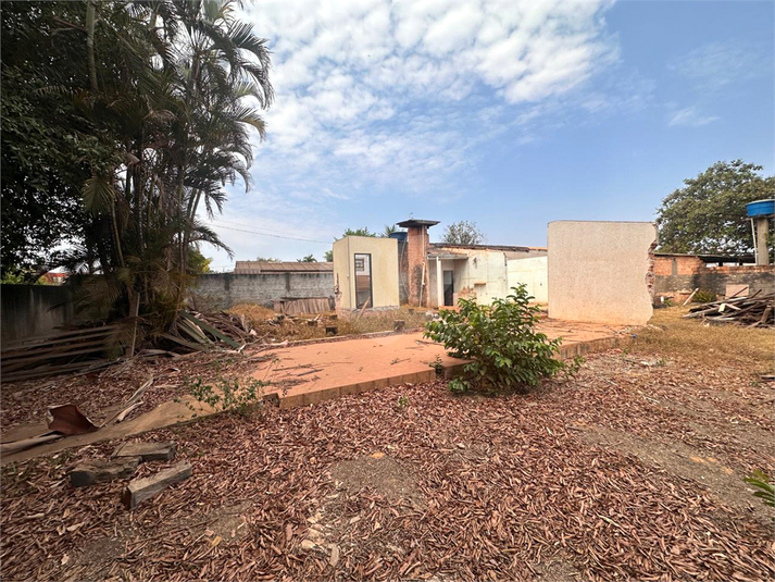 Foto REO1130966