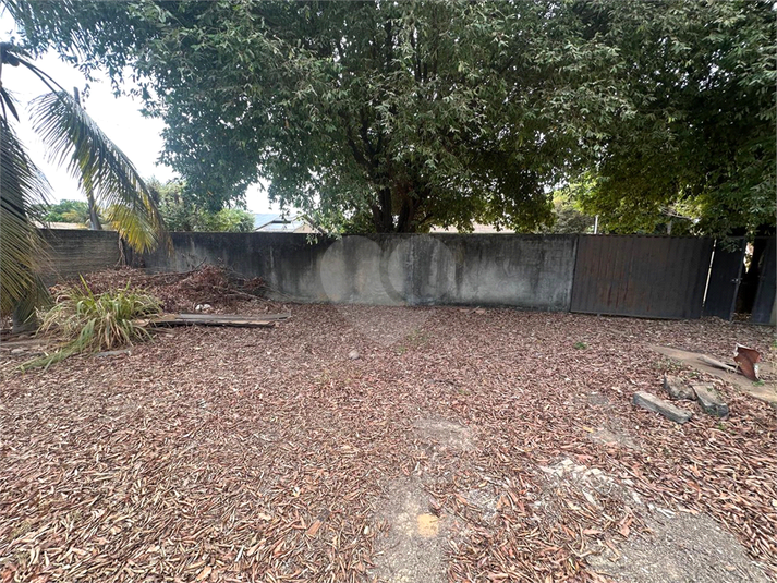 Foto REO1130966