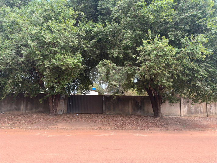 Foto REO1130966