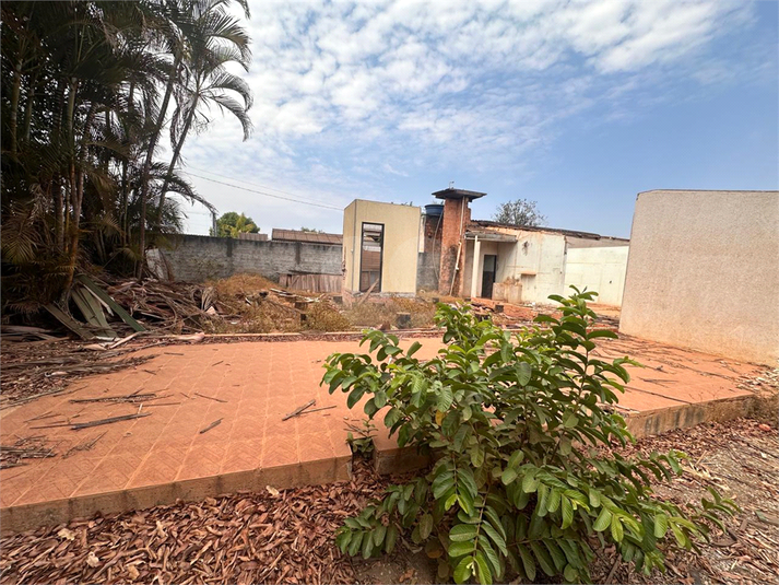 Foto REO1130966