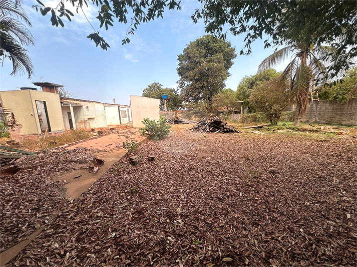 Foto REO1130966