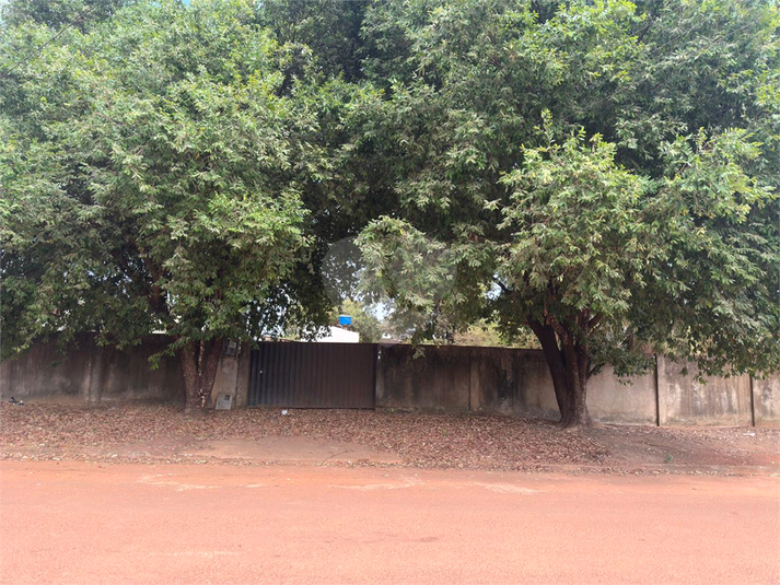 Foto REO1130966