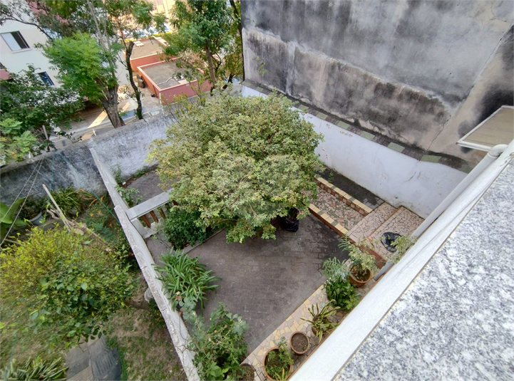 Foto REO1130984