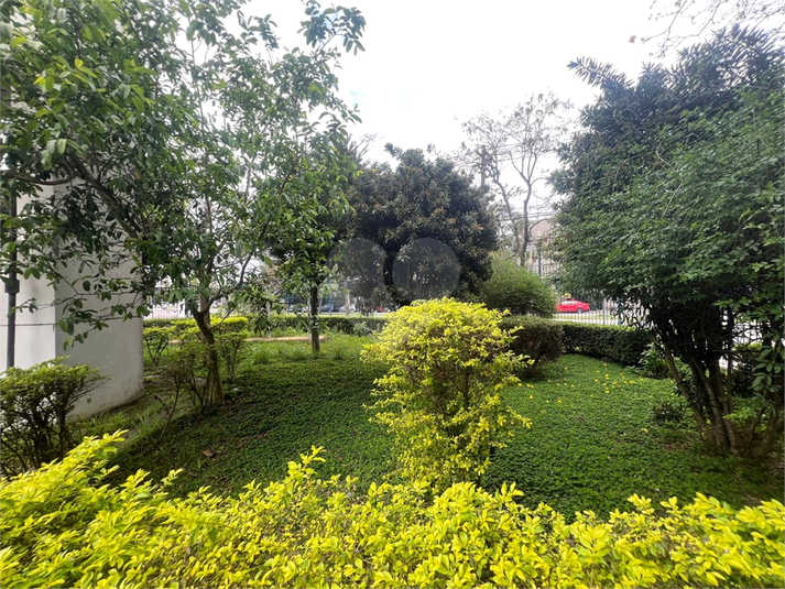 Foto REO1130991