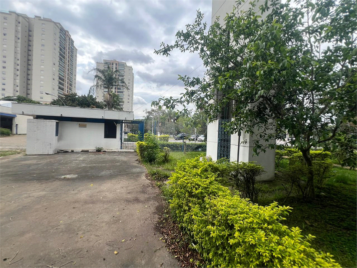Foto REO1130991