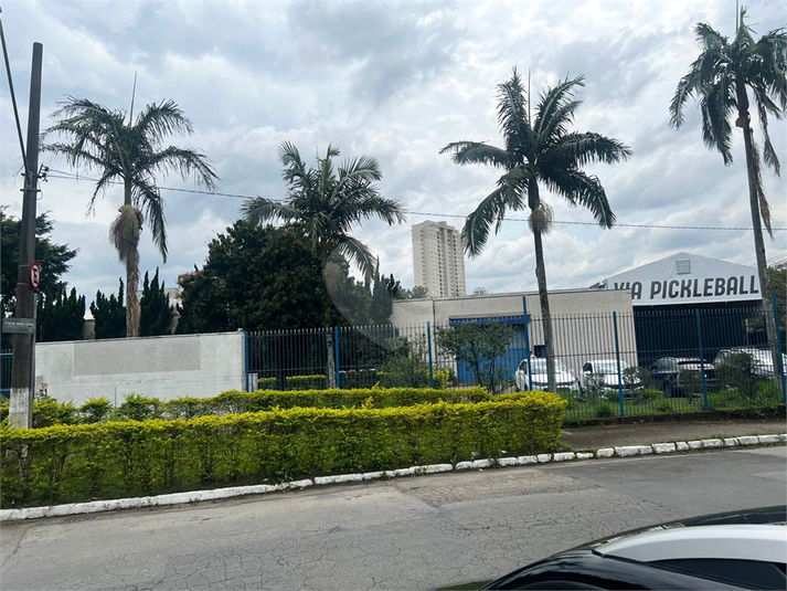 Foto REO1130991