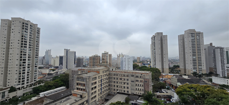Foto REO1131011