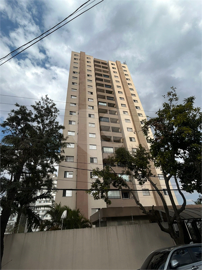 Foto REO1131018