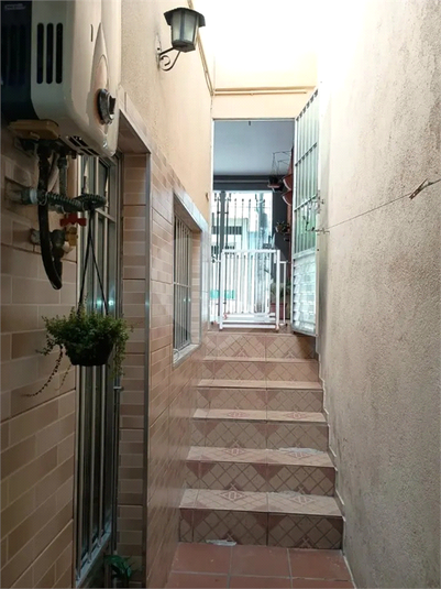 Foto REO1131036