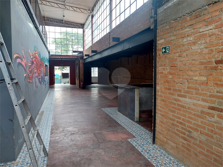 Foto REO1131059
