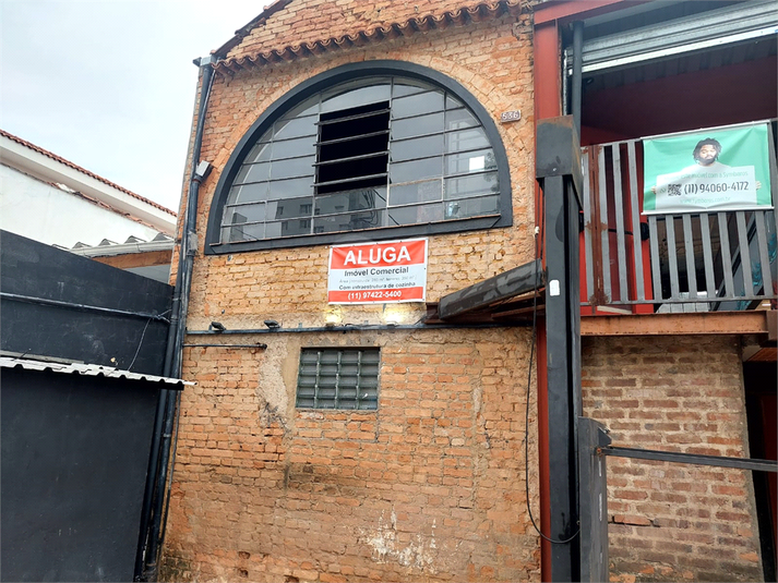 Foto REO1131059