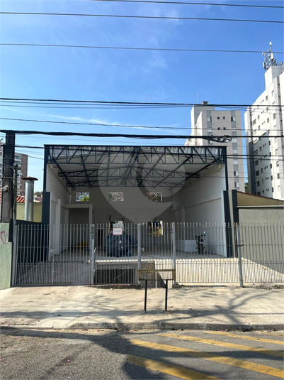 Foto REO1131062