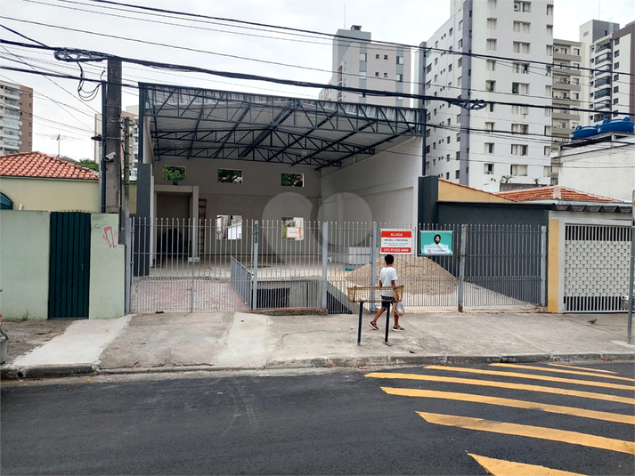 Foto REO1131062