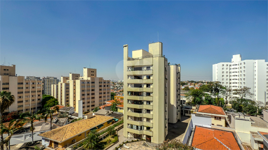 Foto REO1131075